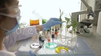 基因实验室，科学家将化学制剂从注射器中注入试管中的草